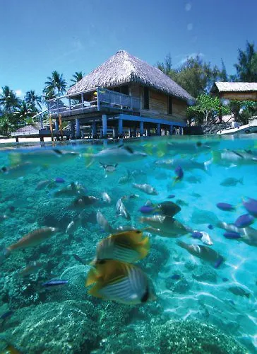 Hotel Bora Bora