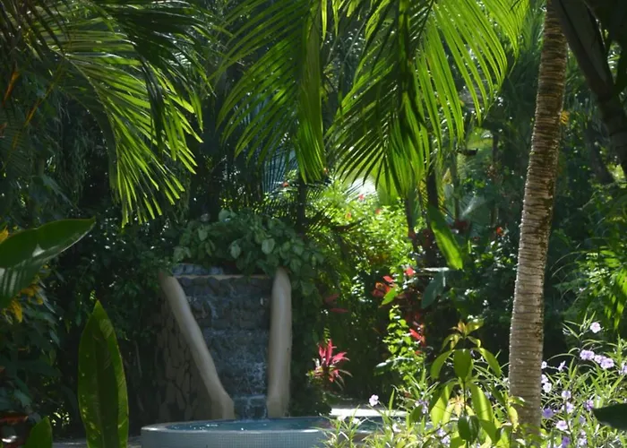 Indigo Yoga Surf Resort