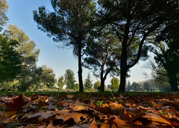 Villa Carrer