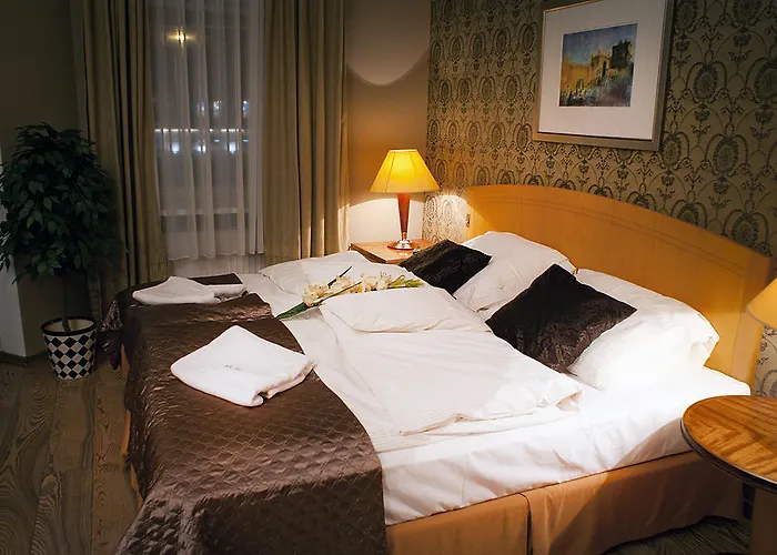 Hotel MCM Plus