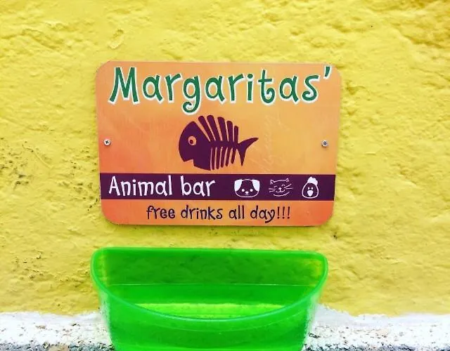 Viva Margarita