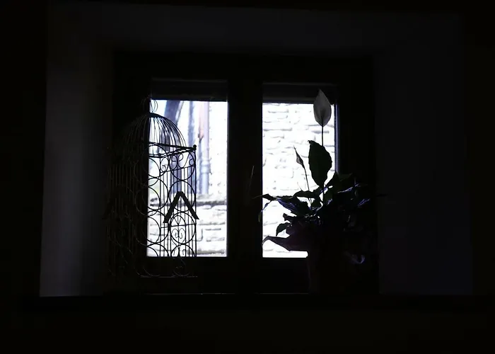 Il Palazzo Ridracoli