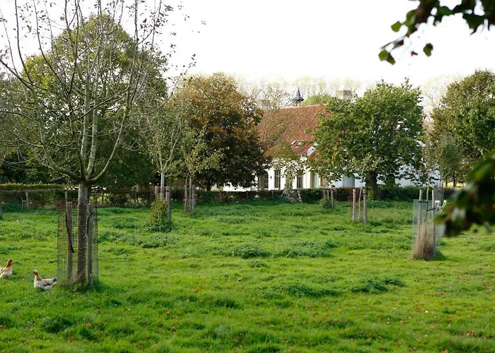 De Grote Wateringe