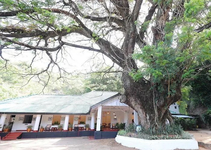 Ekho Belihuloya - Newly Renovated Riverside Retreat