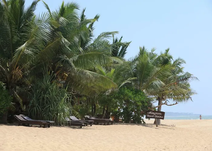 Mangrove Beach Chalets